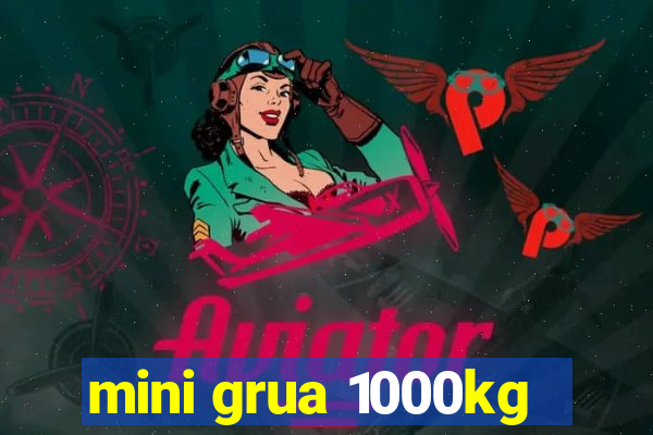 mini grua 1000kg